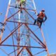 Un groupe d’ingénieurs High-Tech Sarl, équipés de casques de sécurité et de harnais, travaille en hauteur sur une imposante pylône réseau. La scène, baignée par le soleil, capture leur concentration et leur expertise alors qu’ils effectuent des opérations complexes de modernisation des équipements télécoms